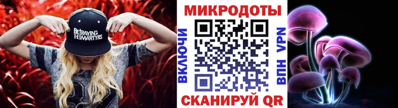 kraken   Таштагол  Псилоцибиновые грибы Psilocybe 