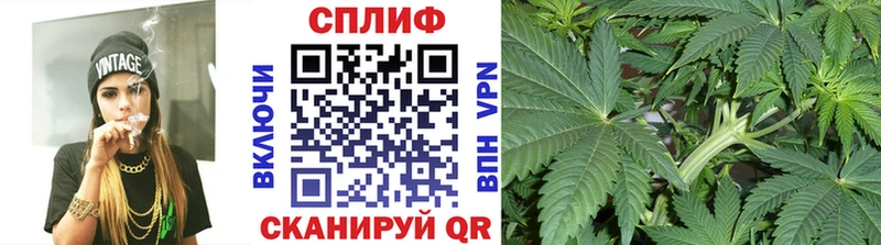 Каннабис OG Kush  Таштагол 